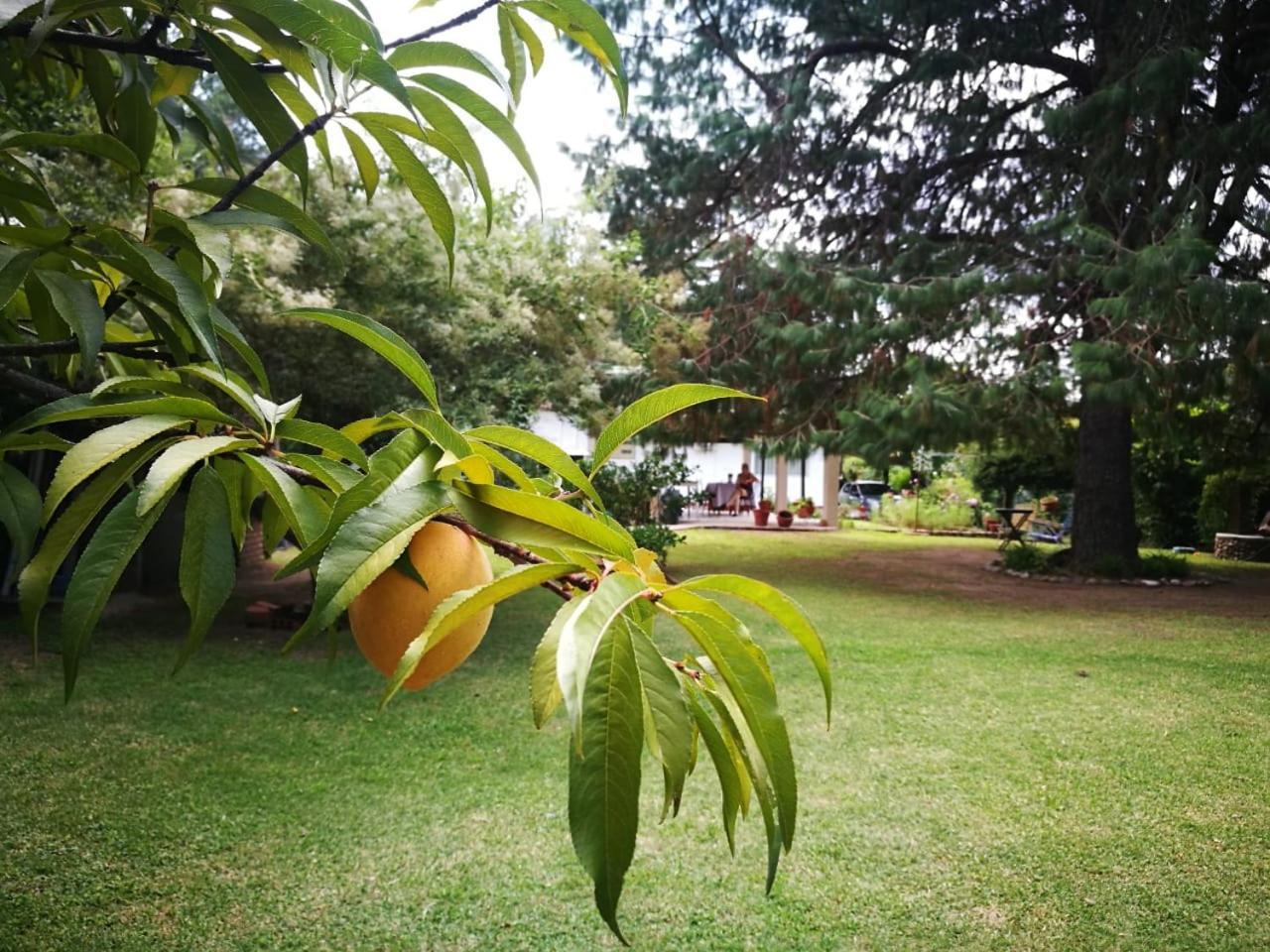 Villa El Maná Bialet Massé Esterno foto